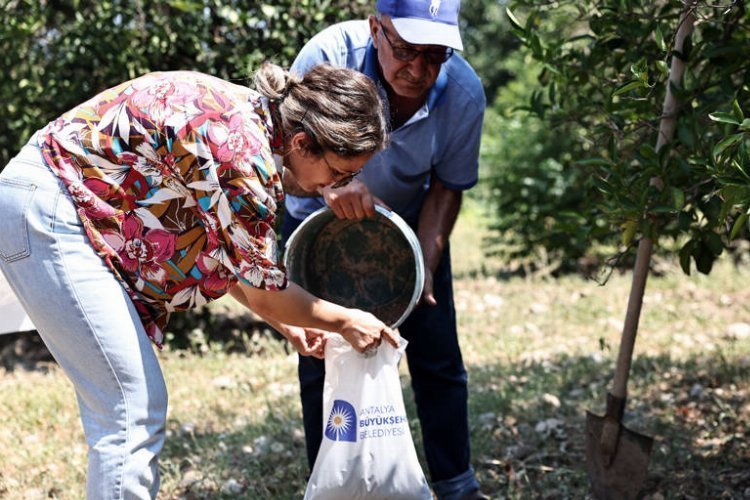 Büyükşehir çiftçinin toprağını tahlil ediyor