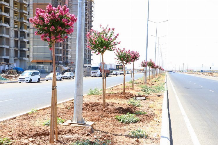 Diyarbakır’ın caddeleri ‘Oya’ üzere işlendi