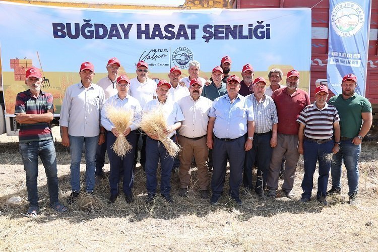 Kayseri Talas’ta hasat vakti