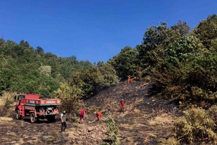 Bingöl’de orman yangını denetim altına alındı