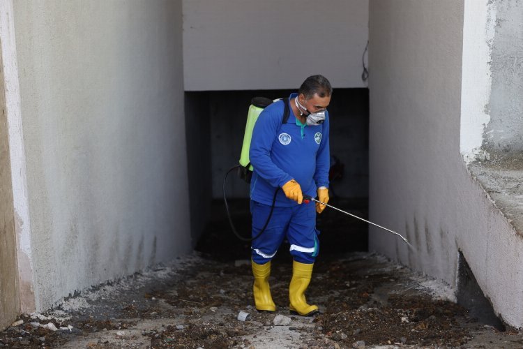 Bursa Mudanya’da sel sonrası haşare paklığı