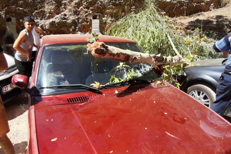 Adıyaman Besni’de arabanın üstünde ağaç devrildi