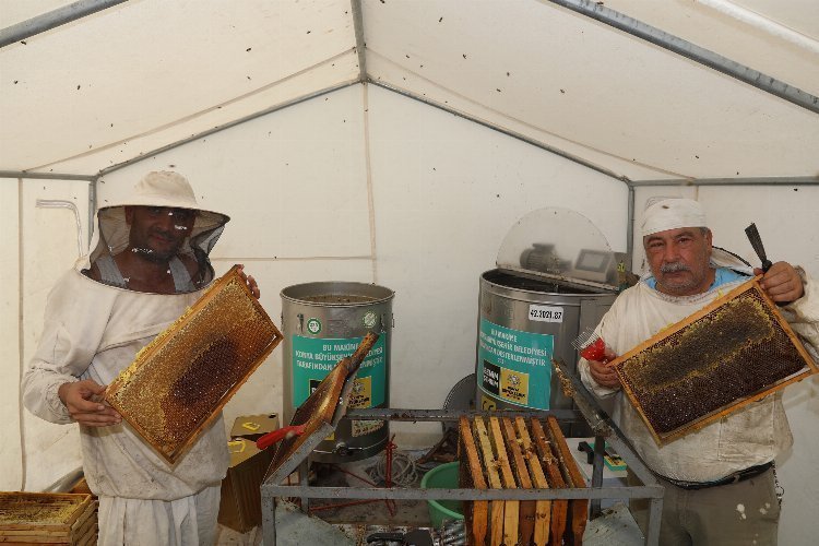 Bal hasadı başladı, çağdaş arıcılıkta rekolteler arttı