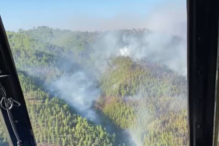 Antalya Alanya’da orman yangınına müdahale sürüyor