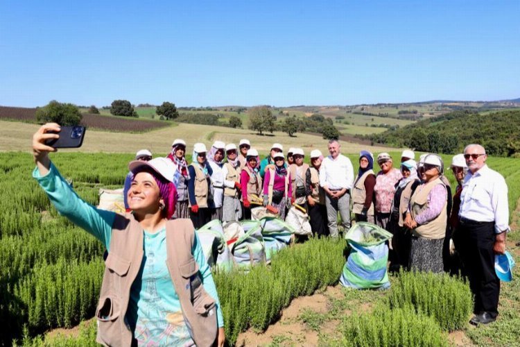 Kocaeli’nde tıbbı aromatik merkez