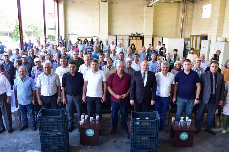 Manisa Kula’da 210 üreticiye daha zeytin kasası dayanağı