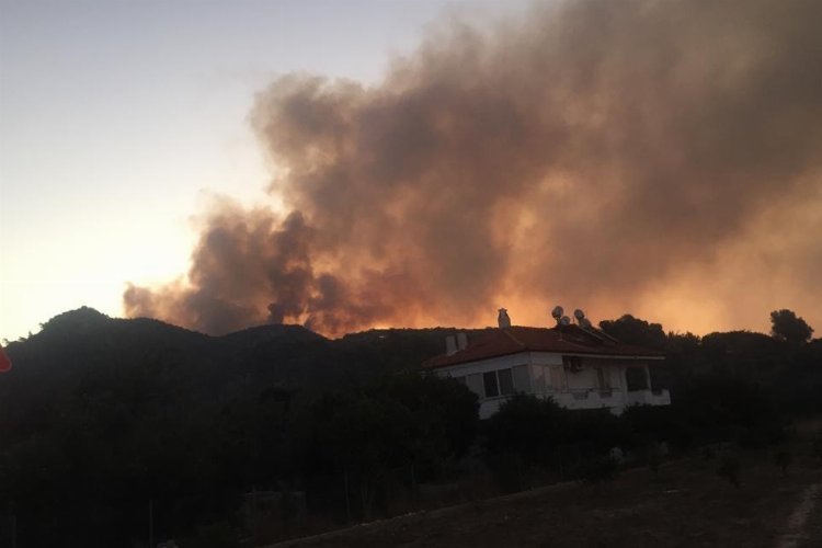 Muğla Ula’daki yangında 50 hektar ormanlık alan ziyan gördü