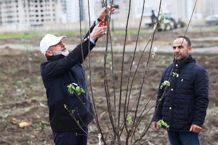 Kayseri Kocasinan’dan meyve bahçeli park projesi